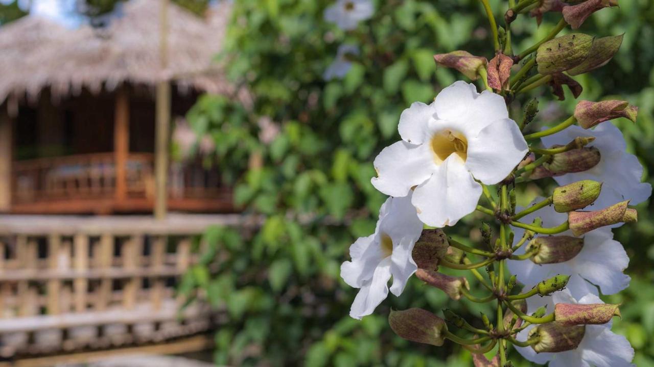 Onong'S Homestay & Cafe Tomohon Esterno foto